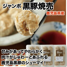 ジャンボ黒豚焼売 鹿児島県産 国産無添加 手作り 簡単調理 冷凍焼売 しゅうまい シュウマイ シューマイ お中元 おかず 美味い 仕送り 贈答品 贈り物 24個（8個×3袋）