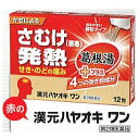 【第2類医薬品】【12/15限定!5%OFFクーポン利用でポ...