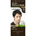株式会社マンダム ルシード ワンプッシュケアカラー 〈6〉ダークブラウン【医薬部外品】<無香料><男性向け白髪染め>【RCP】【北海道・沖縄は別途送料必要】