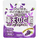 【第3類医薬品】常盤薬品工業株式会社 南天のど飴G はちみつぶどう風味 22錠入【北海道・沖縄は別途送料必要】【CPT】