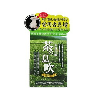 ケンネット カテキン石けん 茶の息吹 90g【北海道・沖縄は別途送料必要】