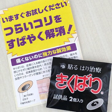 【5%OFFクーポン利用でポイント10倍相当1/16(水)01:59迄】日進医療器のきくばりゴールド“金メッキ鍼”お試し4鍼（2本入×2）【医療機器】＜スポールバン同様鍼と圧粒子のW効果＞＜不快感・痛みが無い鍼治療器＞【北海道・沖縄は別途送料必要】