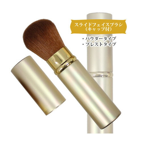【本日楽天ポイント5倍相当】【送料無料】株式会社志々田清心堂スライドフェイスブラシ FB-04【RCP】【△】