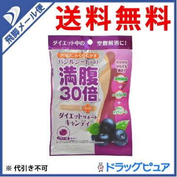 【本日楽天ポイント5倍相当】【飛脚メール便にて送料無料でお届け 代引き不可】株式会社グラフィコ満腹30倍 ダイエットサポートキャンディ アサイー 42g(メール便のお届けは発送から10日前後が目安です)