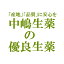 【本日楽天ポイント5倍相当】【送料無料】中嶋生薬株式会社　ナカジマ　ギムネマ葉　500g(インド産・刻み)(ギムネマヨウ。武靴葉)【RCP】【△】