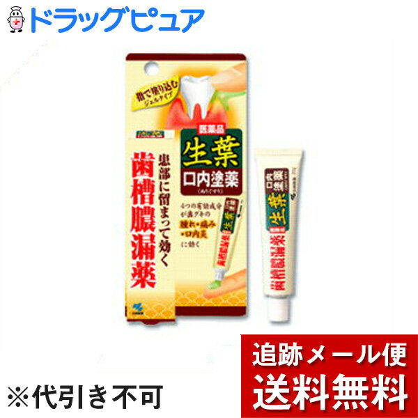 【第3類医薬品】【本日楽天ポイント5倍相当】【発P】【メール便で送料無料 ※定形外発送の場合あり】小林製薬　生葉口内塗薬　20g【RCP】のサムネイル