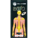 【3％OFFクーポン 4/30 00:00～5/6 23:59迄】【送料無料】日進医療器株式会社『貼る はり治療 きくばり (10本入)』スポールバンと同様..