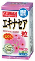 【本日楽天ポイント5倍相当】山本漢方製薬株式会社　エキナセア粒100％280粒【RCP】【北海道・沖縄は別途送料必要】