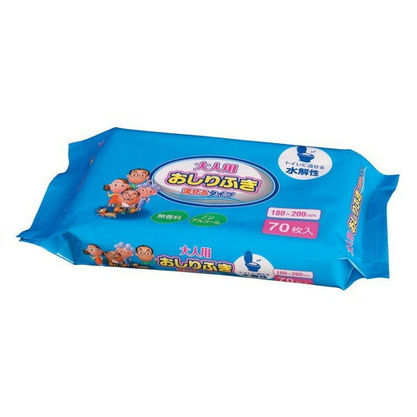 【本日楽天ポイント5倍相当】【送料無料】大一紙工株式会社大人用流せるおしりふき厚手　70枚【RCP】【△】【CPT】