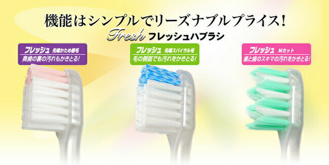 美と健康・くすり 神戸免疫研究所の【本日楽天ポイント5倍相当】【送料無料】【P310】デンタルプロ株式会社フレッシュ 1 先端かため ふつう(1本入)＜奥歯のすみまでスッキリクリーン！＞【△】【CPT】｜アングル2