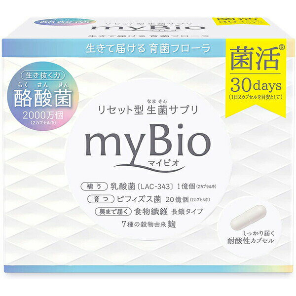 メタボリックマイビオ 19.44g（Mybio）（324mg×2カプセル×30袋）＜短鎖脂肪酸 酪酸菌 乳酸菌 ビフィズス菌 配合＞