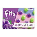 【本日楽天ポイント5倍相当】【送料無料】株式会社ロッテFIT’S<グレープミックス> 1パック(12枚)×10個セット【RCP】【■■】