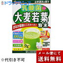 【本日楽天ポイント5倍相当】【R310】【メール便で送料無料 ※定形外発送の場合あり】山本漢方製薬株式会社 乳酸菌プラス大麦若葉粉末 4g×15包入(外箱は開封した状態でお届けします)【開封】