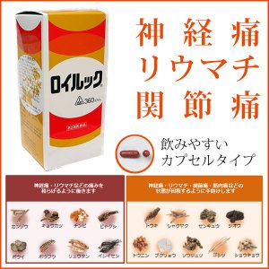 【第2類医薬品】【☆】【あす楽12時まで】【ポイント5倍！】剤盛堂薬品株式会社　ホノミ漢方　ロイルック　160カプセル＜神経痛・関節痛・リウマチの生薬製剤＞＜気・血・水の乱れに＞＜漢方薬＞