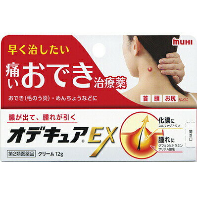 【第2類医薬品】株式会社池田模範堂　痛いおでき治療薬　オデキュアEX　12g＜膿が出て腫れが早く引く＞..