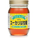 【本日楽天ポイント5倍相当】【送料無料】【お任せおまけ付き♪】株式会社サンフローラユーカリ　はち蜜　[ビン入り]500g入×6本セット＜100％ブラジル産天然はちみつ・純正蜂蜜＞【RCP】【北海道・沖縄は別途送料必要】【△】