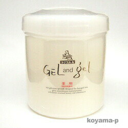 【本日楽天ポイント5倍相当】【送料無料】【お任せおまけ付き♪】株式会社ピュアトリプルAゲルアンドゲル500g【RCP】【△】