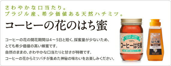 【本日楽天ポイント5倍相当】【送料無料】【お任せおまけ付き♪】株式会社サンフローラ　コーヒーの花のはち蜜　[ビン入り]300g入×12本セット＜100％ブラジル産天然はちみつ・純正蜂蜜＞【RCP】【北海道・沖縄は別途送料必要】【△】