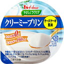 【送料無料】【お任せおまけ付き♪】ハウス食品株式会社 やさしくラクケア クリーミープリンチーズケーキ風味 63g×48個セット<たんぱく質0g>(商品発送まで6...