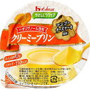 【送料無料】【お任せおまけ付き♪】ハウス食品株式会社 やさしくラクケア クリーミープリン マンゴーチーズケーキ風味 63g×48個セット<たんぱく質0g>(商品...