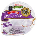 【送料無料】【お任せおまけ付き♪】ハウス食品株式会社 やさしくラクケア クリーミープリン ブルーベリーチーズケーキ風味 63g×48個セット<たんぱく質0g>(...