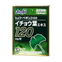 【本日楽天ポイント5倍相当】【送料無料】【お任せおまけ付き♪】【イチョウ葉エキスのおまけ付き】アサヒ・フード・アンド・ヘルスケア株式会社 シュワーベギンコ120335mg×60粒【RCP】【△】
