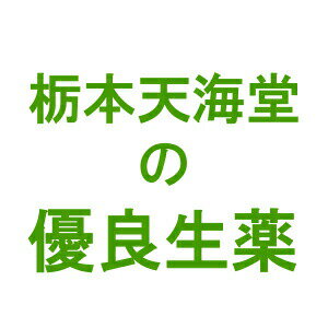 【本日楽天ポイント5倍相当!!】【送料無料】【お任せおまけ付き♪】株式会社栃本天海堂大豆黄巻　500g(中国産)(ダイズオウケン。別名：豆巻（ズケン）)【健康食品】(発送まで10-14日程・キャンセル不可)【△】