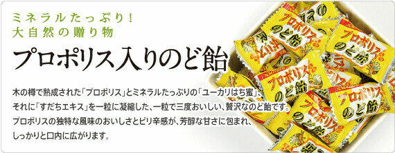 【本日楽天ポイント5倍相当】株式会社サンフローラ　蜂の恵み　プロポリス入り　のど飴　80g入×25袋セット＜ブラジル産プロポリス+ブラジル産ユーカリはち蜜+徳島産すだち＞【RCP】【北海道・沖縄は別途送料必要】 2