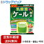 【本日楽天ポイント5倍相当】【定形外郵便で送料無料でお届け】山本漢方製薬株式会社　乳酸菌プラスケール粉末 お徳用 4g×30包入＜1包［乳酸菌YK-1］100億個＞【TKauto】