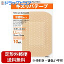 【本日楽天ポイント5倍相当】【定形外郵便で送料無料】共立薬品工業キズリバテープ半透明LLサイズ 10枚【医薬部外品】【RCP】【TK180】