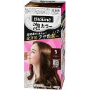 【送料無料】花王株式会社ブローネ 泡カラー 5 ブラウン(108ml)【医薬部外品】(この商品は注文後のキャンセルができません)【△】