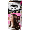 【送料無料】花王株式会社ブローネ 泡カラー 6 ダークブラウン(108ml)【医薬部外品】(この商品は注文後のキャンセルができません)【△】