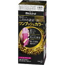 【送料無料】花王株式会社ブローネ ワンプッシュカラー 3N:明るいナチュラリーブラウン(1剤40g、2剤40g)【医薬部外品】(この商品は注文後のキャンセルができません)【△】