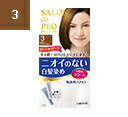 【本日楽天ポイント5倍相当】【定形外郵便で送料無料でお届け】【医薬部外品】株式会社ダリヤサロンドプロ 無香料ヘアカラー 早染めクリーム【白髪用】<3>明るいライ...