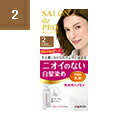 【本日楽天ポイント5倍相当】【定形外郵便で送料無料でお届け】【医薬部外品】株式会社ダリヤサロンドプロ 無香料ヘアカラー 早染め乳液【白髪用】<2>より明るいライ...