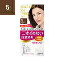 【本日楽天ポイント5倍相当】【定形外郵便で送料無料でお届け】【医薬部外品】株式会社ダリヤサロンドプロ 無香料ヘアカラー 早染め乳液【白髪用】<5>ナチュラルブラ...