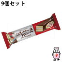 【本日楽天ポイント5倍相当】【送料無料】株式会社ブルボン シルベーヌバー 1本(40g)入×9個セット<お手軽スイーツ>(夏季注意事項有)【△】