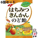 【3%OFFクーポン 7/19 20:00〜7/26 01:59迄】【送料無料】ノーベル製菓株式会社 はちみつきんかんのど飴 110g入×6個セット<金柑シロッ...