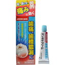 【第2類医薬品】【本日楽天ポイント5倍相当】【定形外郵便で送料無料でお届け】森下仁丹株式会社『デンタルクリームT 4g』【TK140】