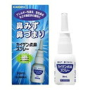【第2類医薬品】【本日楽天ポイント5倍相当】【メール便で送料無料でお届け 代引き不可】カイゲンファーマ株式会社カイゲン点鼻スプレー(30ml)<シュッとひと吹き...