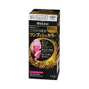 【本日楽天ポイント5倍相当】【送料無料】花王株式会社 ブローネ ワンプッシュカラー 2:より明るいライトブラウン【医薬部外品】 1セット【RCP】【△】