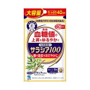 【本日楽天ポイント5倍相当】【送料無料】小林製薬株式会社 サラシア100 (40日分) 120粒【RCP】【△】