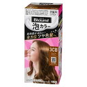 【本日楽天ポイント5倍相当】2個セット【送料無料】花王株式会社 ブローネ 泡カラー 3CB キャメルブラウン【医薬部外品】 108ml×2個【RCP】【△】