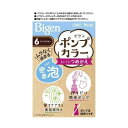 【送料無料】ホーユー株式会社 ビゲン ポンプカラー つめかえ 6 ダークブラウン【医薬部外品】 50mL+50mL+5mL【RCP】【△】