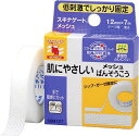 ニチバン スキナゲート メッシュ 12mm×7m【RCP】【北海道・沖縄は別途送料必要】【CPT】(4)