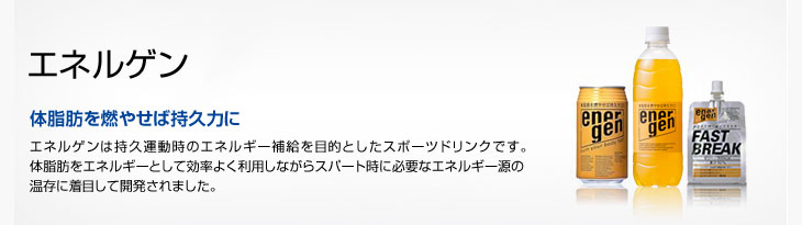 【本日楽天ポイント5倍相当】大塚製薬株式会社エ...の紹介画像2