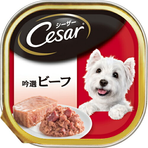ŷݥ5̵ۡۡP414ۥޡѥߥƥåɥӡ(100g)ڢۡCPT