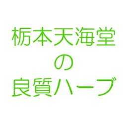 【3％OFFクーポン 4/24 20:00～4/27 9:59迄】【送料無料】栃本天海堂西洋オトギリソウ(西洋弟切草・別名：セント・ジョーンズ・ワート)(中国産/チリ産/欧州産・刻) 100g【健康食品】(到着迄10～14日)(キャンセル不可)【△】