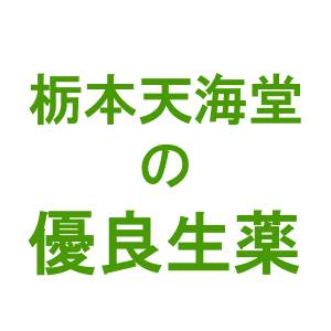 【ポイント13倍相当】栃本天海堂石