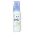 【本日楽天ポイント5倍相当】【送料無料】花王 リーゼ ポイント用ミスト100ml【RCP】【△】